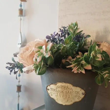 Art Blue Apartments Ohrid Room photo